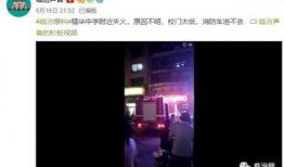 最新最劲爆的爆料视频,最新劲爆爆料视频震撼来袭，真相令人震惊！