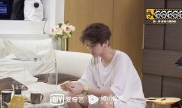 陈赫鹿晗爆料视频合集,揭秘娱乐圈幕后真相