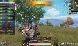 吃鸡最新版本爆料,全新玩法与升级，带你领略战场新境界