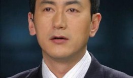 娱乐吃瓜君男主持是谁,探寻男主持背后的故事