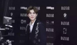 陈赫鹿晗爆料视频合集,揭秘娱乐圈幕后真相