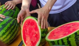 娱乐吃瓜大英子,揭秘娱乐圈幕后故事