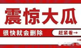 吃瓜影视娱乐有限公司,揭秘娱乐圈幕后故事