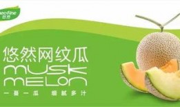 悠闲吃瓜小说免费阅读,免费畅读小说，轻松享受阅读时光