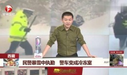 西藏警察爆料视频大全集,真实事件背后的震撼瞬间