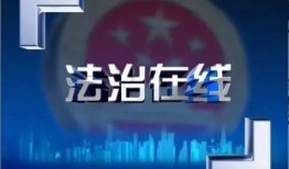 法治在线直播在线观看,实时法治动态，一键掌握