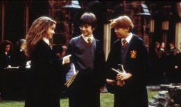 哈利新年爆料视频