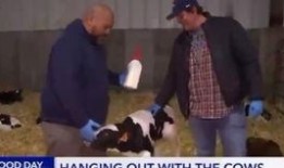 新闻爆料失误合集