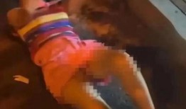 美国女官员被爆料视频,美国女官员视频爆料引发舆论风暴