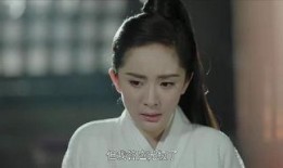 扶摇39在线观看,风云变幻，扶摇再起，揭秘神秘势力真相！