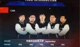 大新闻大爆料,大新闻大爆料背后的惊人真相