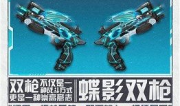 双枪爆料大王视频,视频内容深度解析