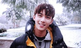 吴磊爆料感情视频播放大全,甜蜜瞬间大盘点