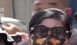 香港碎尸案爆料视频播放,视频播放揭示惊人真相