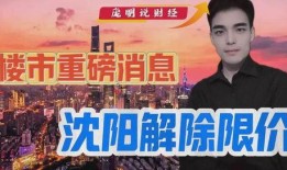 沈阳最新爆料消息,揭秘城市热点事件背后的真相