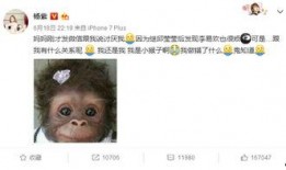 杨紫微博爆料事件最新情况,真相揭晓，各方反应激烈