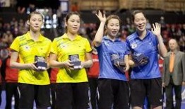 瑞士足球爆料视频大全集,揭秘爆料视频大全集