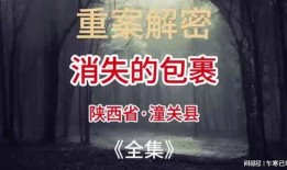 陕西小庄爆料案件真相视频,揭秘背后惊人内幕