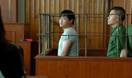 香港碎尸案爆料视频播放,视频播放揭示惊人真相