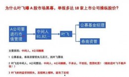 叶飞爆料详情介绍视频,揭秘视频背后的惊人内幕