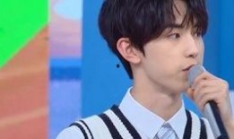 杨洋爆料刘宇宁了吗视频,视频爆料引发热议