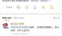 四个字网红吃瓜网名叫什么,揭秘网红“吃瓜网名”背后的故事