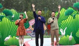 李现爆料模板视频大全最新,揭秘娱乐圈幕后故事，带你走进明星真实生活