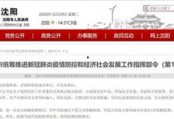 沈阳最新爆料消息,揭秘城市热点事件背后的真相