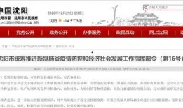 沈阳最新爆料消息,揭秘城市热点事件背后的真相