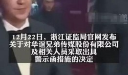 吃瓜娱乐圈大兄弟小说,大兄弟的娱乐圈风云录