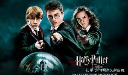 哈利新年爆料视频