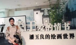 艾佳爆料非诚勿扰视频播放,视频播放背后的故事