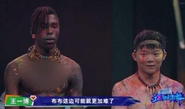 布布娱乐爆料,揭秘娱乐圈最新动态