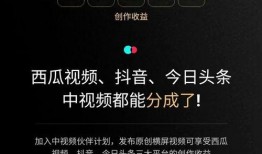 抖音计划爆料怎么做的视频,揭秘计划爆料视频的生成技巧