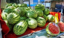 三水区网红吃瓜事件真相,真相大白，网络舆论的反思