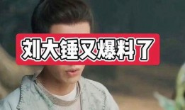 刘大锤爆料视频最新,娱乐圈惊人内幕大曝光！