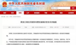 淄博网红爆料最新消息新闻,揭秘城市热点事件背后的真相