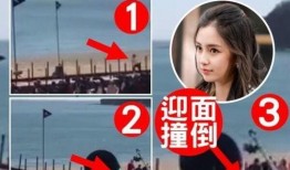 阿诺黑粉爆料视频大全,揭秘影坛巨星背后的真相
