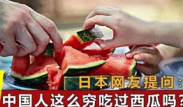 外国人免费吃瓜,外国人免费品尝瓜果的奇妙之旅