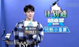 圈内小料爆料王晨艺,从选秀新星到人气偶像的蜕变之路