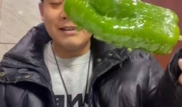 网红乐乐视频吃瓜,揭秘网红美食背后的真相