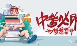 福宝最新事情爆料视频大全,视频大全揭秘幕后真相
