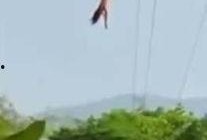 最新爆料蹦极事件新闻,惊险一跳！最新蹦极事故引发社会关注