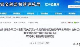 辽宁银行最新爆料,揭秘金融领域重大事件！