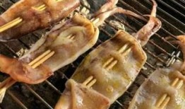 烧烤鱿鱼爆料视频教程,视频教程教你轻松掌握美味秘诀