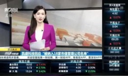 叶飞爆料详情介绍视频,揭秘视频背后的惊人内幕