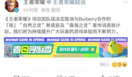 瑶瑶最新皮肤爆料微博,梦幻绮丽，惊艳登场！