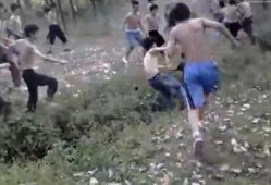 河南高中生爆料新闻视频,揭秘校园内幕