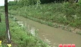 滕州小黑河跳河最新爆料,揭秘真相与救援行动”