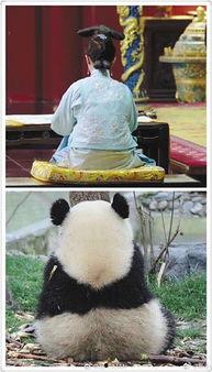 喵星娱乐吃瓜群众视频